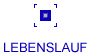 lebenslauf
